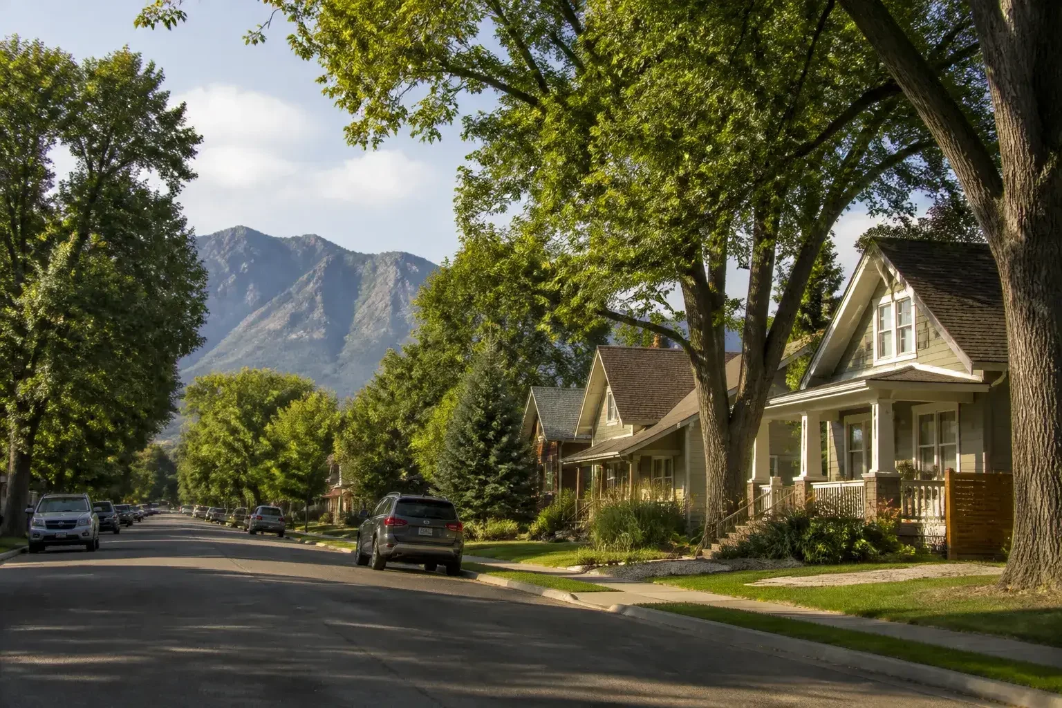 Tree-lined Longmont neighborhood street